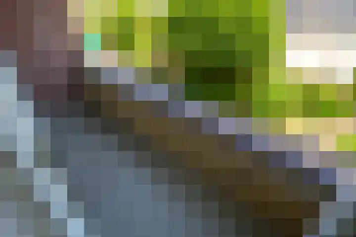 Saksenhorst 21 b Sassenheim thumbnail 15