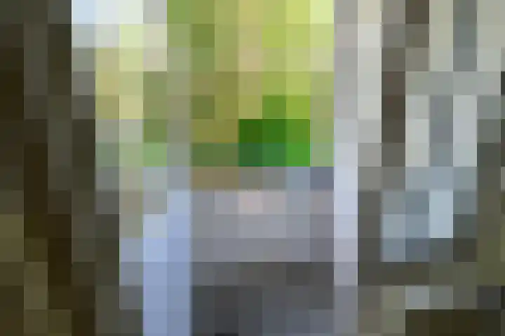 Saksenhorst 21 b Sassenheim thumbnail 24