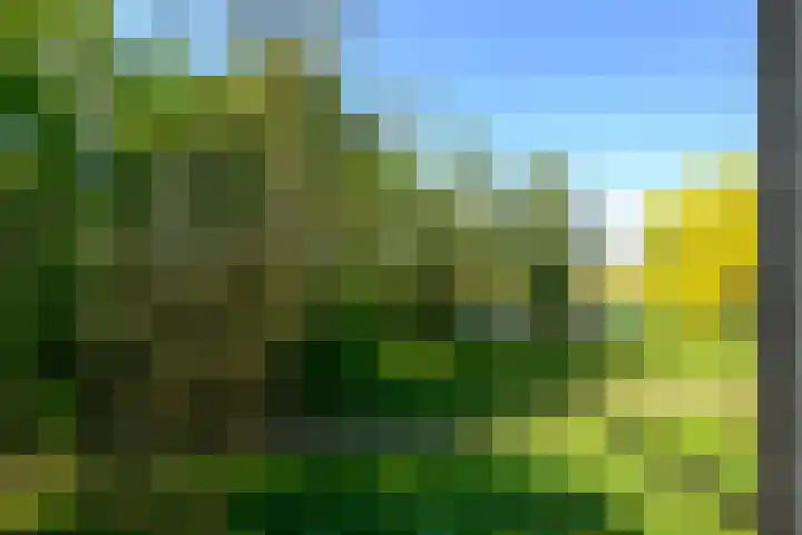 Saksenhorst 21 b Sassenheim thumbnail 25