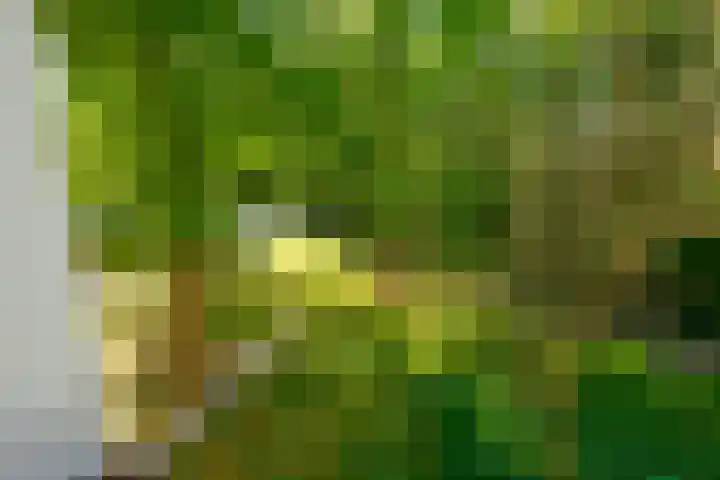 Saksenhorst 21 b Sassenheim thumbnail 26