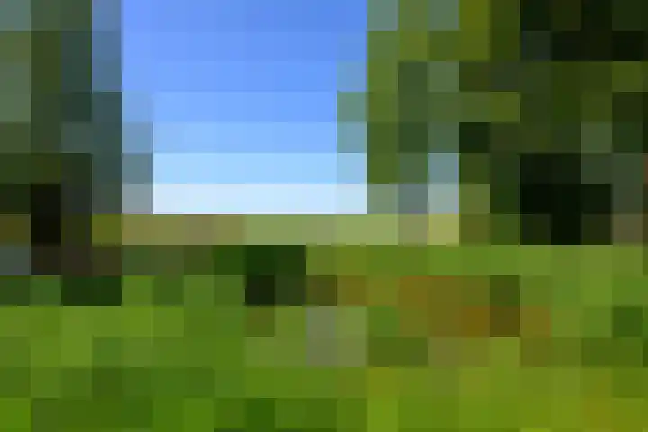Saksenhorst 21 b Sassenheim thumbnail 27