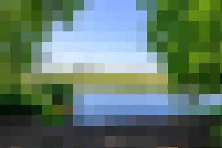 Saksenhorst 21 b Sassenheim thumbnail 28