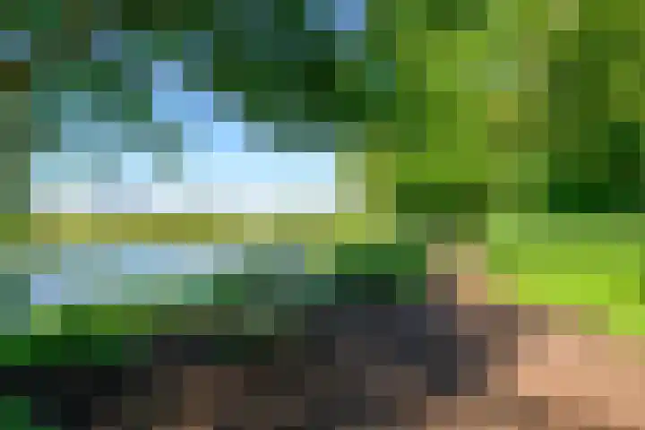 Saksenhorst 21 b Sassenheim thumbnail 29