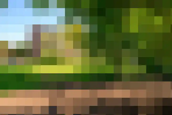 Saksenhorst 21 b Sassenheim thumbnail 30