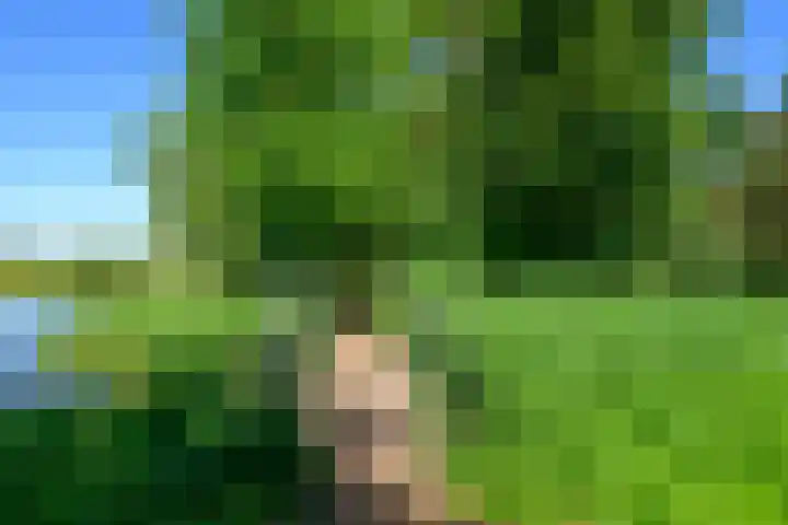 Saksenhorst 21 b Sassenheim thumbnail 31