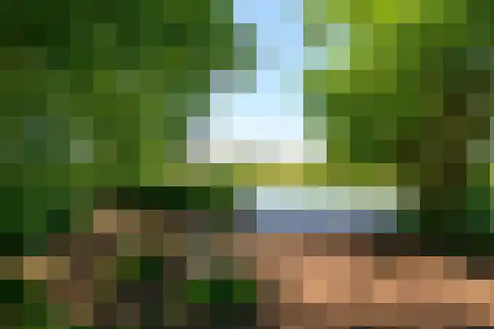 Saksenhorst 21 b Sassenheim thumbnail 32