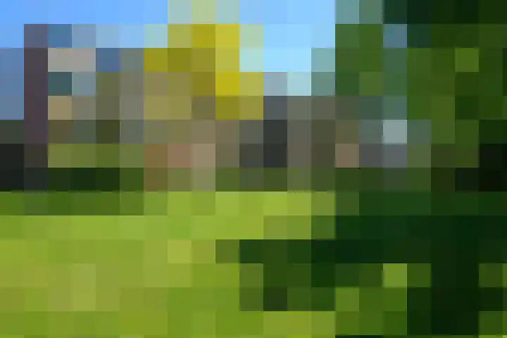 Saksenhorst 21 b Sassenheim thumbnail 34