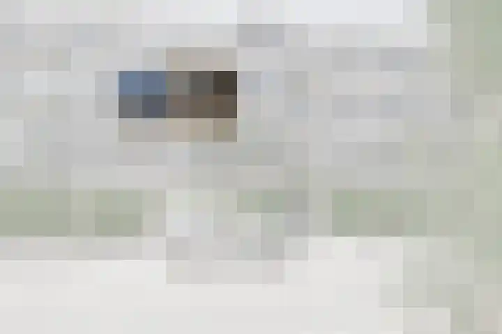Saksenhorst 21 b Sassenheim thumbnail 35