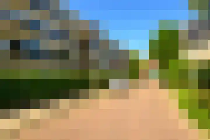 Saksenhorst 21 b Sassenheim thumbnail 4
