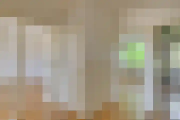 Saksenhorst 21 b Sassenheim thumbnail 5