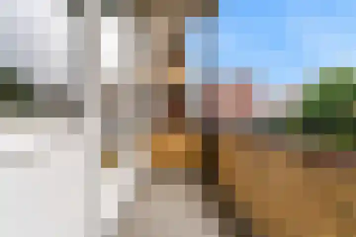 Saksenhorst 23 a Sassenheim thumbnail 23