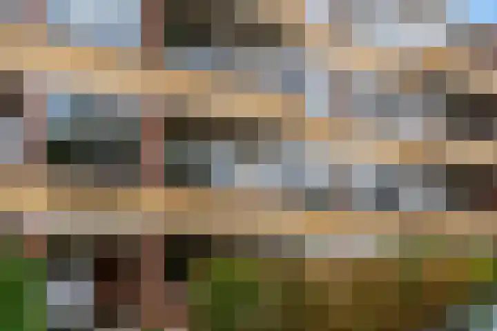Saksenhorst 23 a Sassenheim thumbnail 24