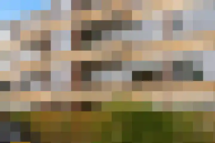 Saksenhorst 23 a Sassenheim thumbnail 26