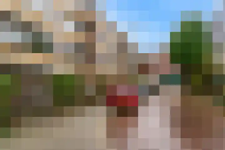 Saksenhorst 23 a Sassenheim thumbnail 27