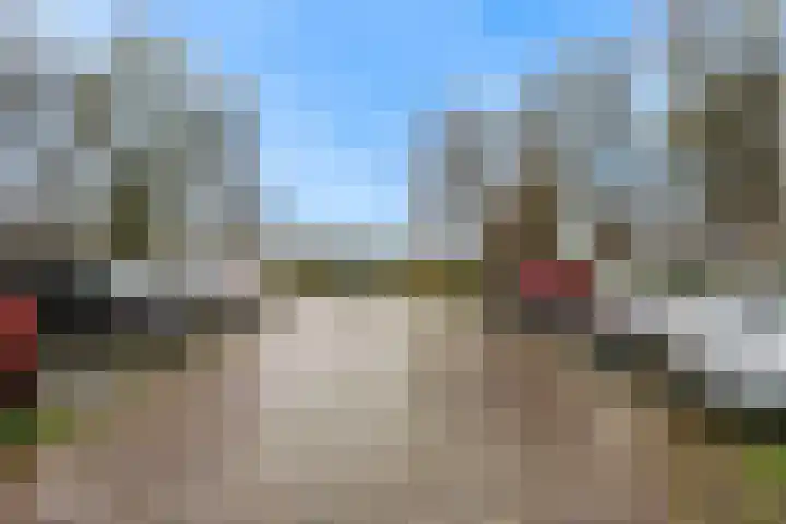 Saksenhorst 23 a Sassenheim thumbnail 29