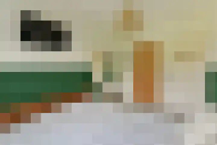 Saksenhorst 23 c Sassenheim thumbnail 10