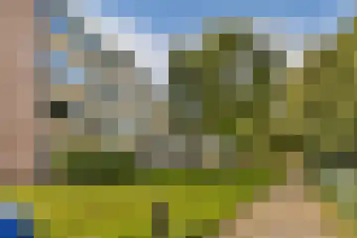 Saksenhorst 23 c Sassenheim thumbnail 17