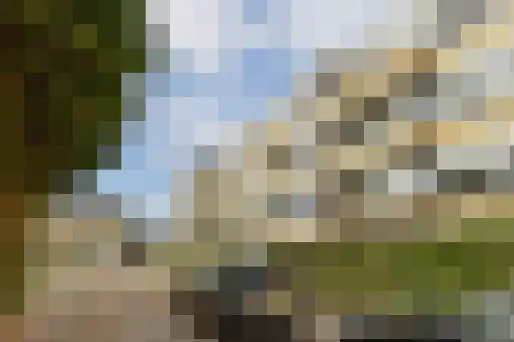 Saksenhorst 23 c Sassenheim thumbnail 18