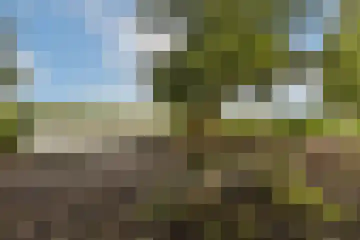 Saksenhorst 23 c Sassenheim thumbnail 19
