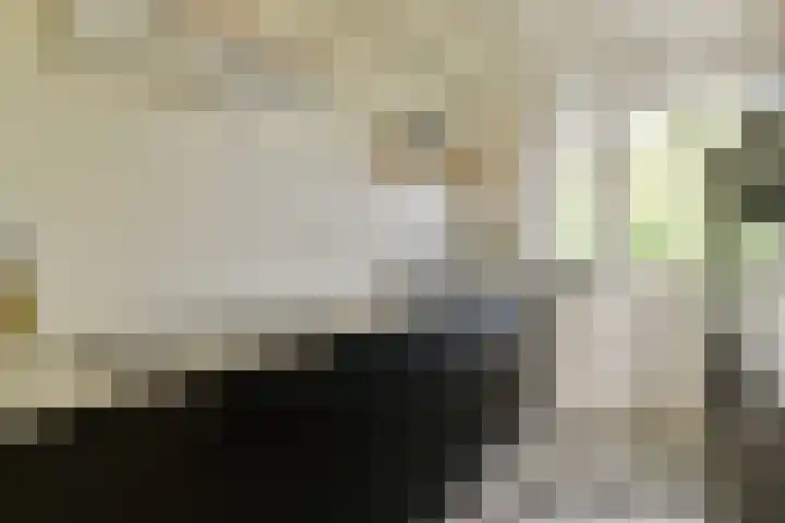 Saksenhorst 23 c Sassenheim thumbnail 7