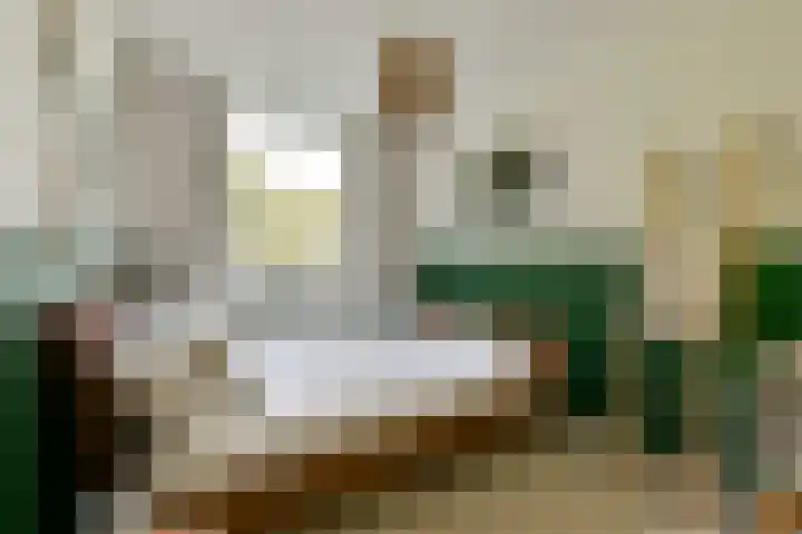 Saksenhorst 23 c Sassenheim thumbnail 9