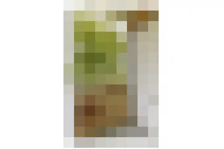 Saksenhorst 25 a Sassenheim thumbnail 10