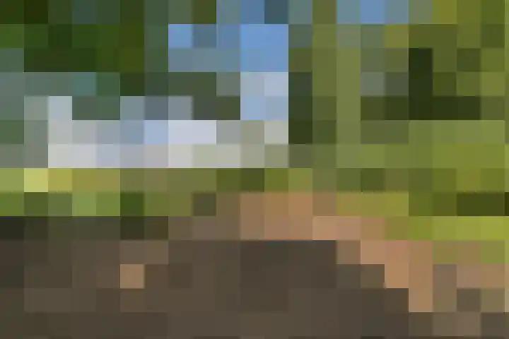 Saksenhorst 25 a Sassenheim thumbnail 19