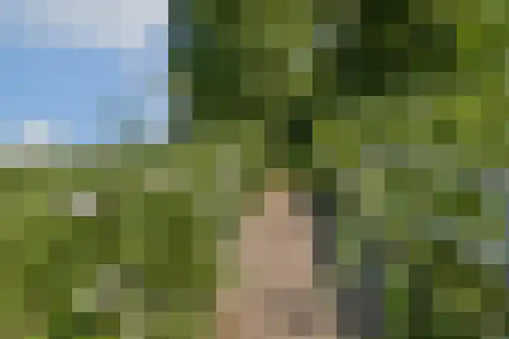 Saksenhorst 25 a Sassenheim thumbnail 20