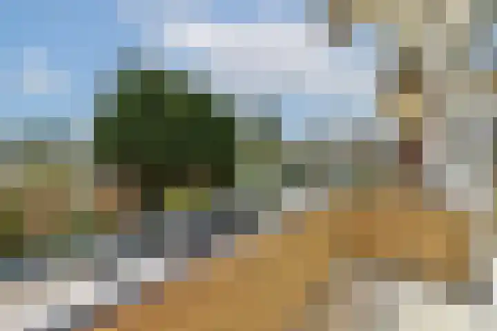 Saksenhorst 25 a Sassenheim thumbnail 6