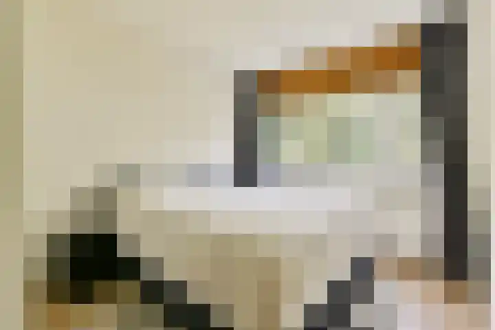 Saksenhorst 25 a Sassenheim thumbnail 7