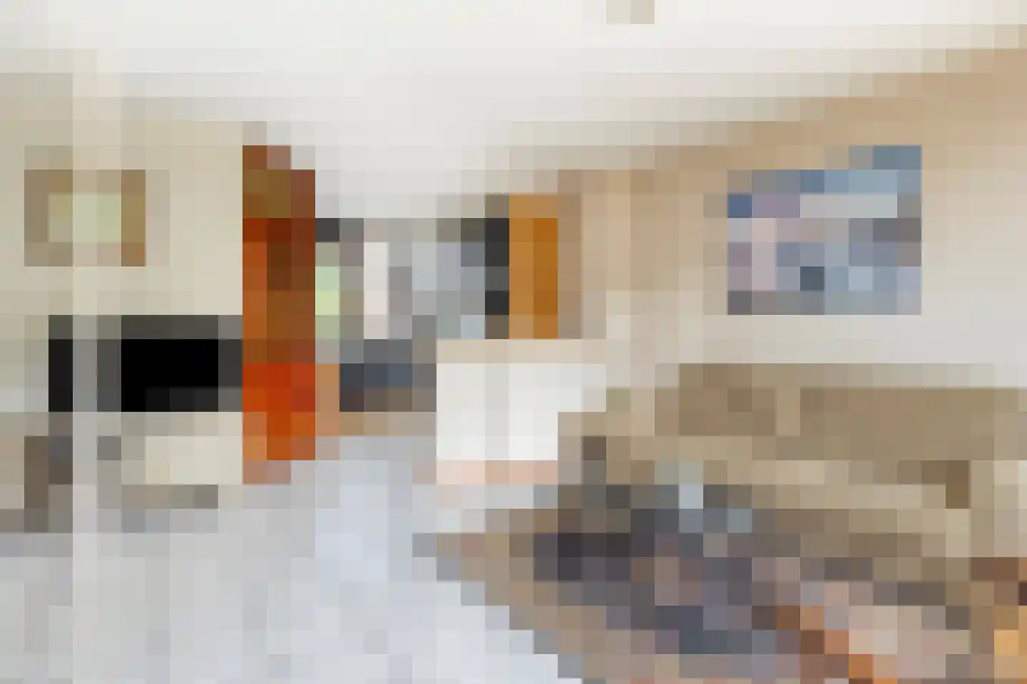 Saksenrade 10 Nieuwerkerk aan den IJssel thumbnail 5