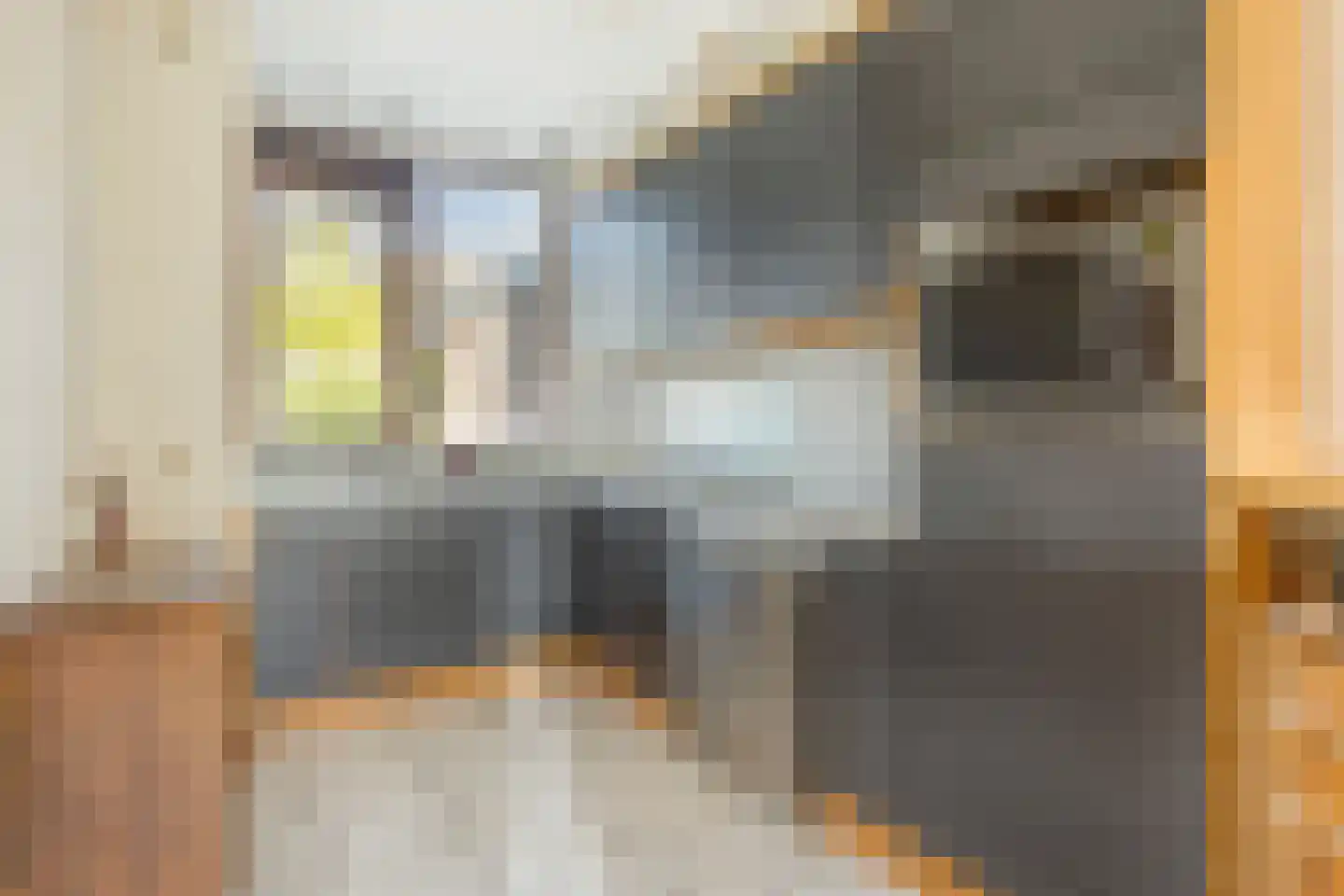 Saksenrade 10 Nieuwerkerk aan den IJssel thumbnail 8