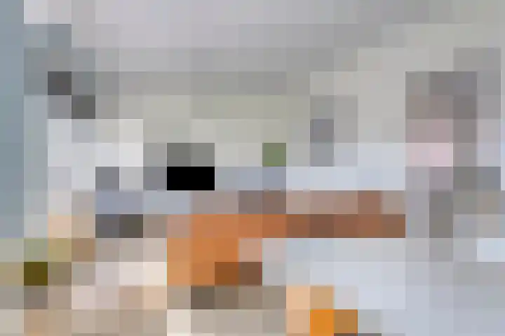 Saksenstraat 21 Aalten thumbnail 11