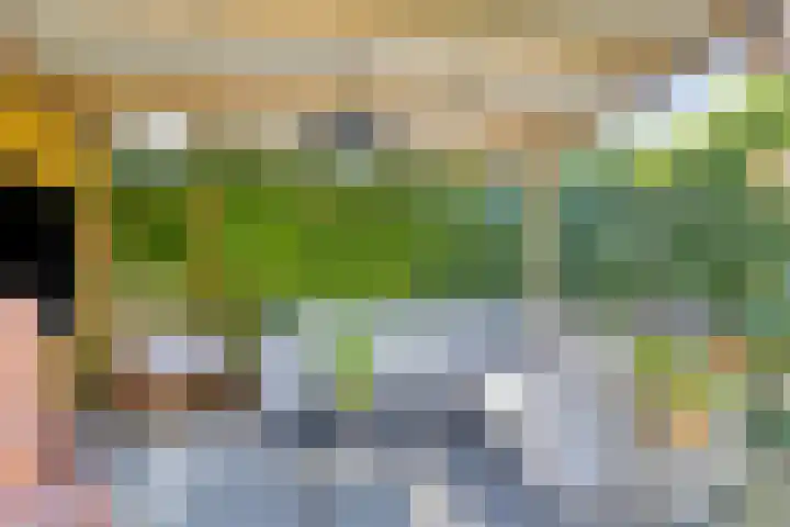 Saksenstraat 21 Aalten thumbnail 32