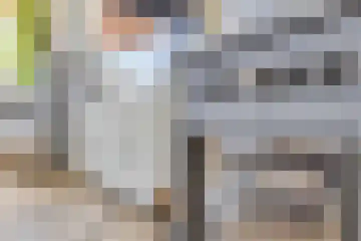 Saksenstraat 21 Aalten thumbnail 8