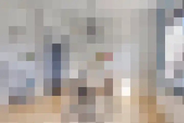 Saksenstraat 21 Aalten thumbnail 9