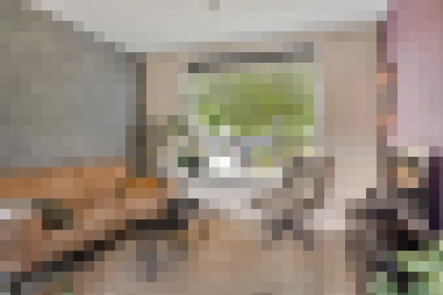 Saksenstraat 24 Aalten thumbnail 6