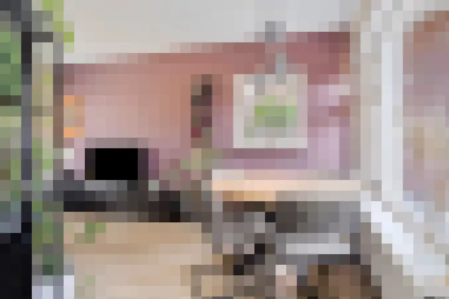 Saksenstraat 24 Aalten thumbnail 8