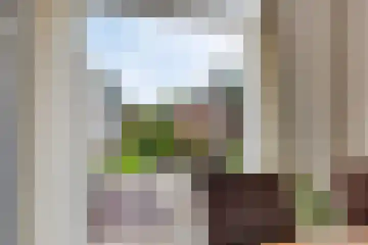 Saksenstraat 29 Aalten thumbnail 12