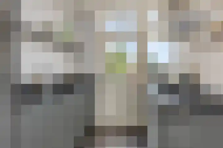 Saksenstraat 29 Aalten thumbnail 17