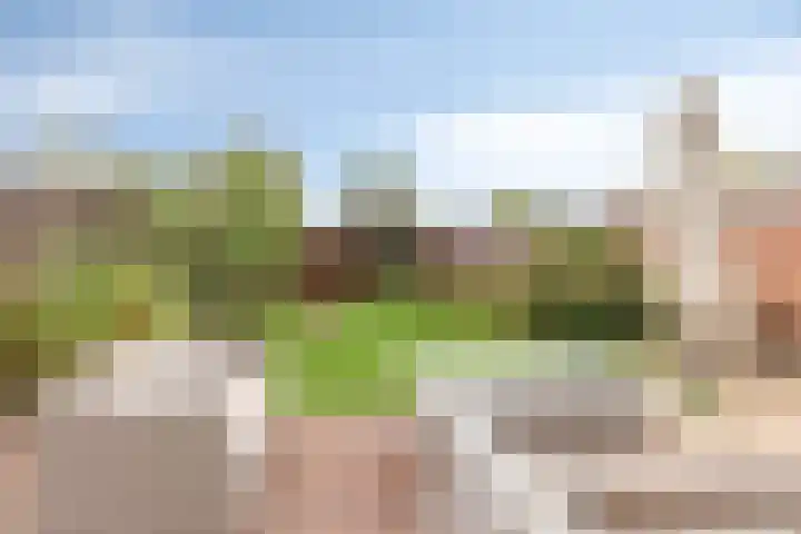 Saksenstraat 29 Aalten thumbnail 36