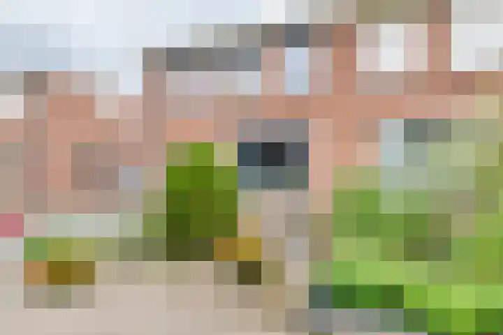 Saksenstraat 36 Aalten thumbnail 45