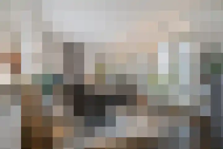 Saksenweg 30 Oss thumbnail 10