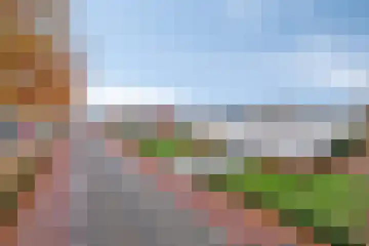 Saksenweg 30 Oss thumbnail 100