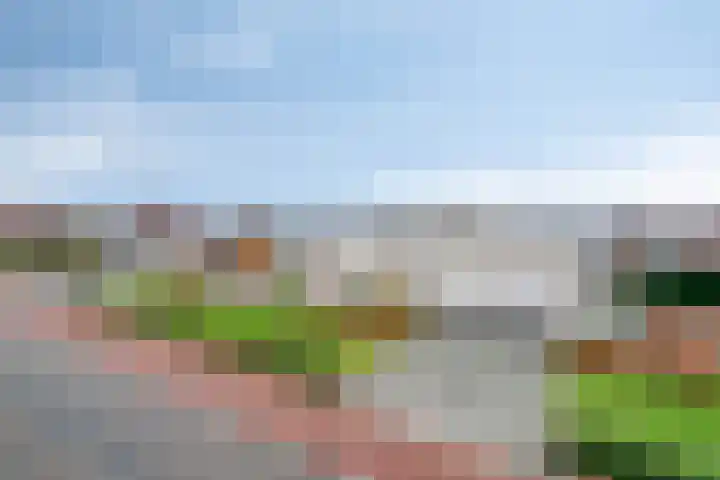 Saksenweg 30 Oss thumbnail 101