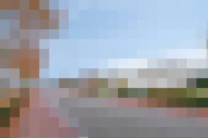 Saksenweg 30 Oss thumbnail 105