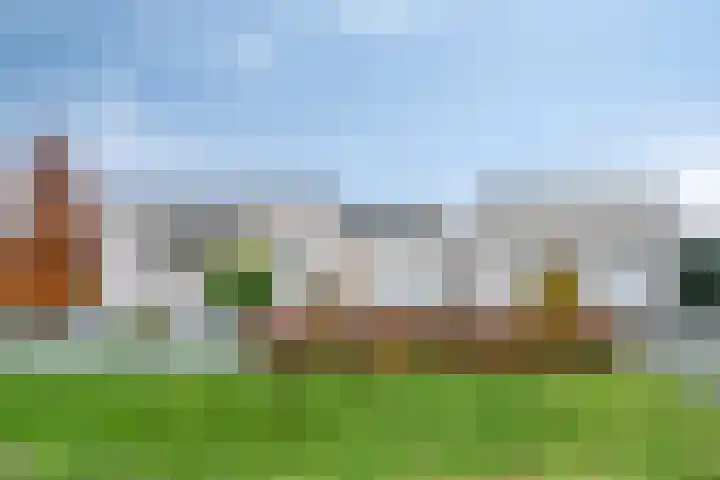 Saksenweg 30 Oss thumbnail 109