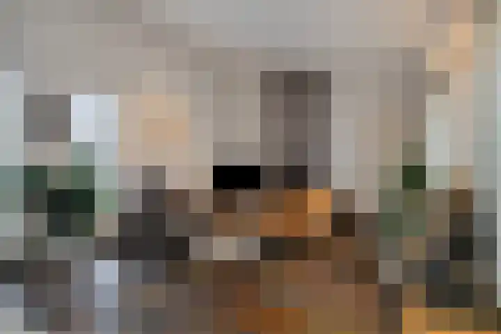 Saksenweg 30 Oss thumbnail 11