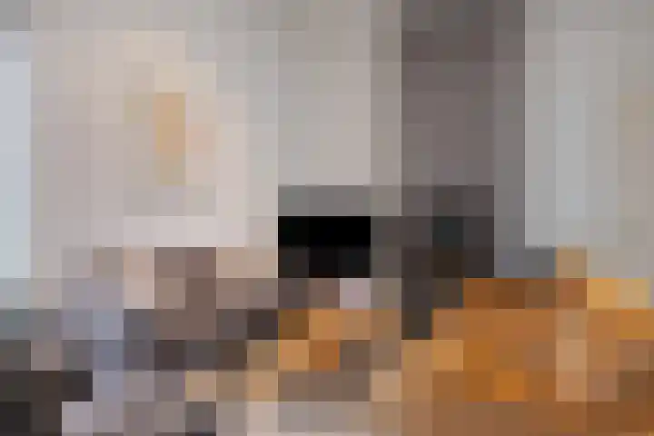 Saksenweg 30 Oss thumbnail 12