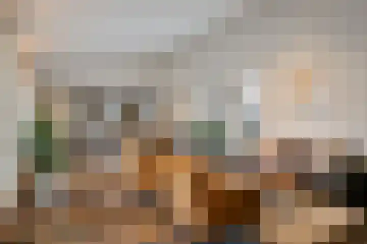 Saksenweg 30 Oss thumbnail 13
